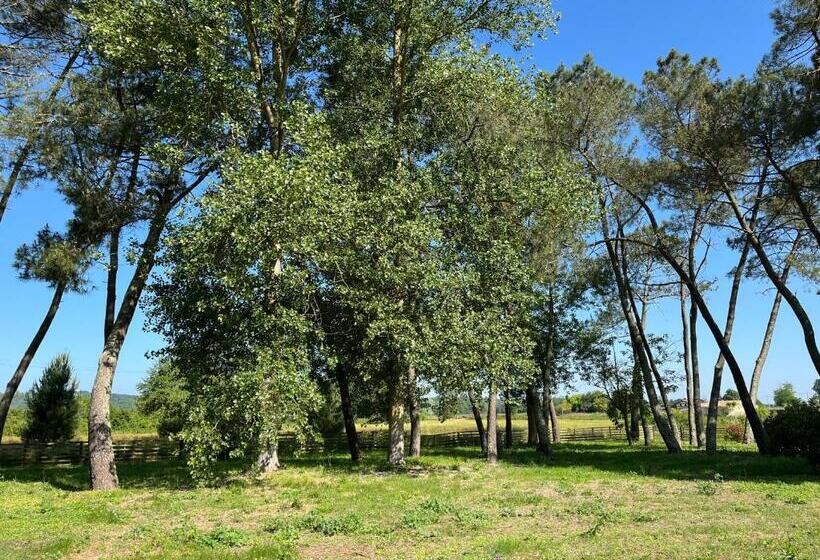 膳宿费 Hózhó Tempo   Sous Les Toits, Loft écofriendly & Slowlife Avec Sauna