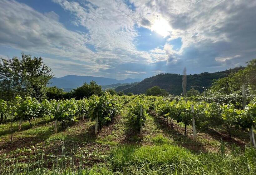 פנסיון Lala House