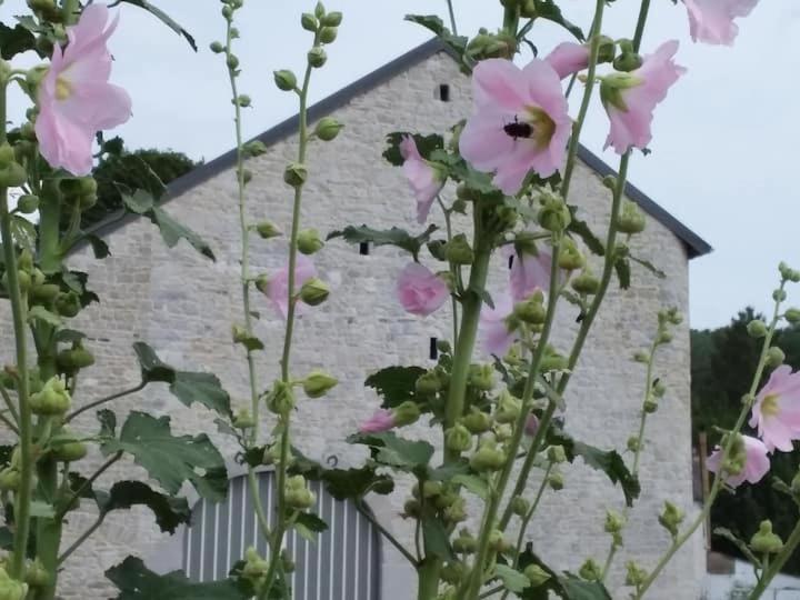 膳宿费 Le Clair Chêne