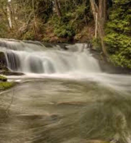 Пансион Oasis Guesthouse