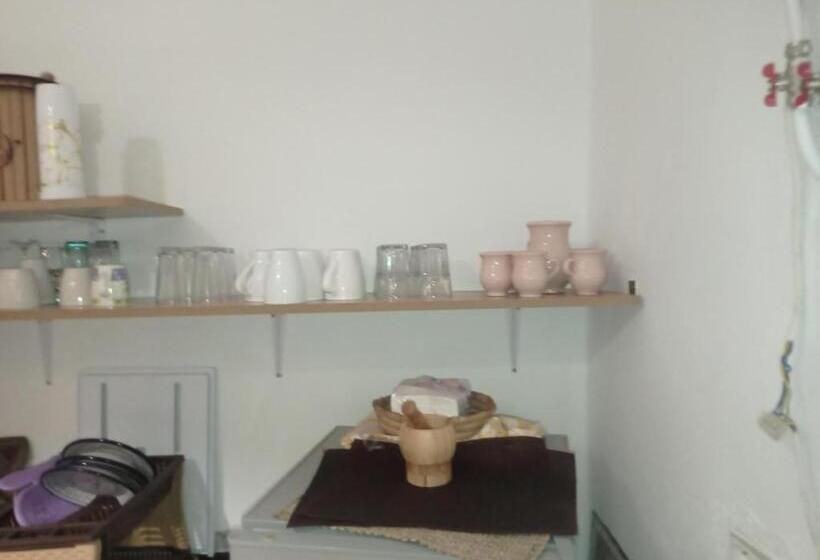 بنسيون Maison D Hôte Rêve De Désert Jerba