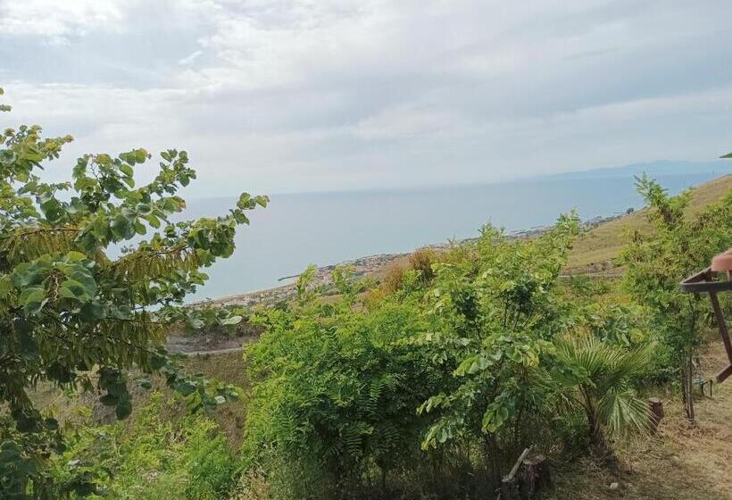 بنسيون Palapico