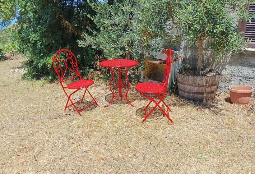 بنسيون Palapico