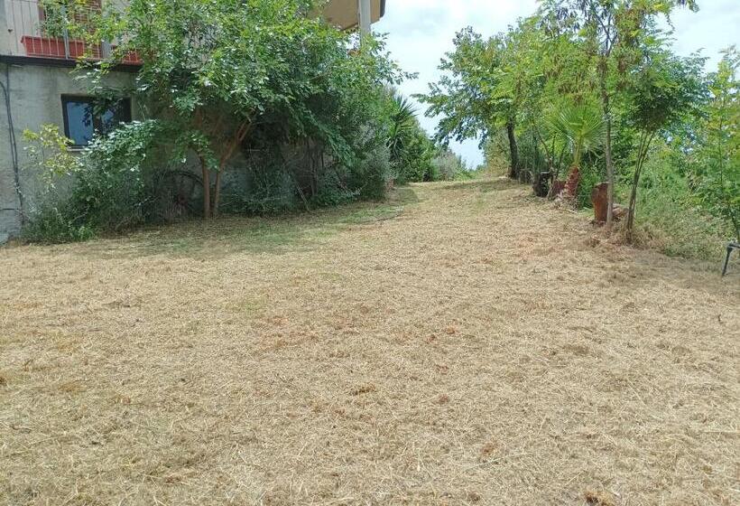 بنسيون Palapico