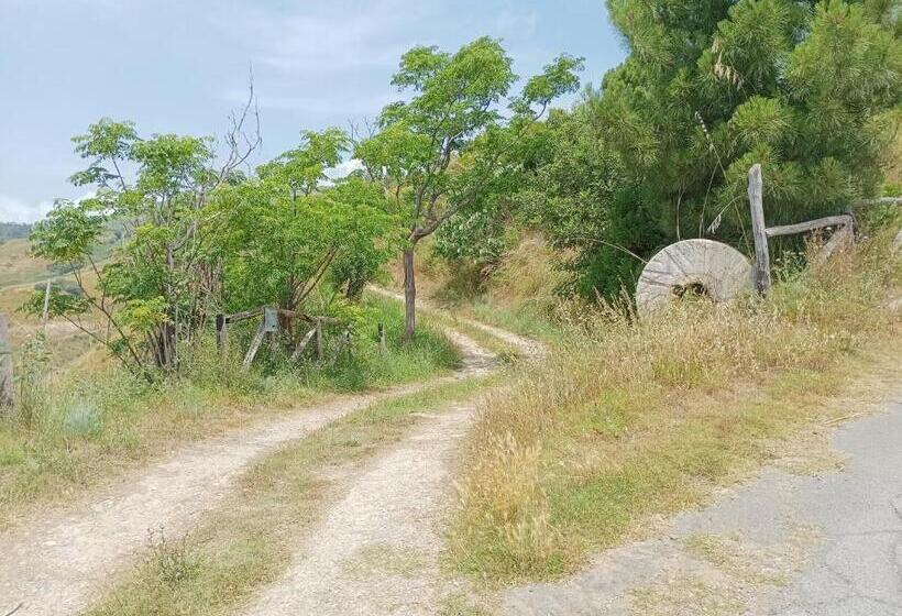 بنسيون Palapico