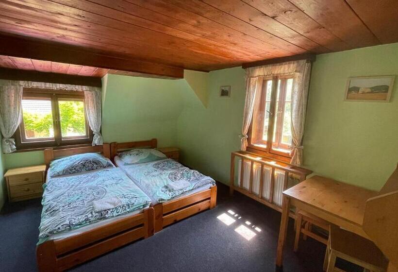 펜션 Penzion černý Mlýn