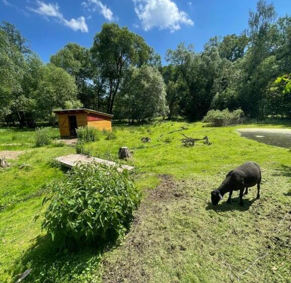 펜션 Penzion černý Mlýn