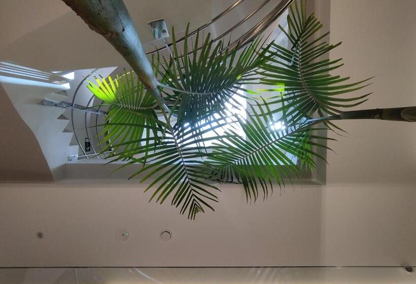 پانسیون Plaza Rooms