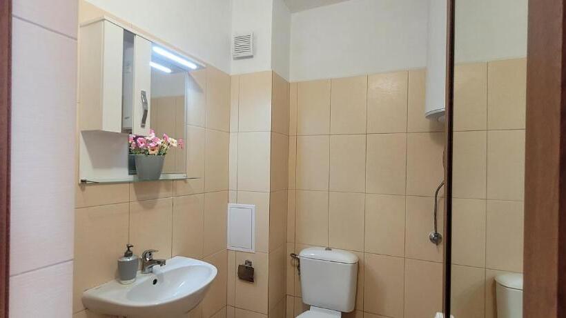 بنسيون Vila Mihnevi