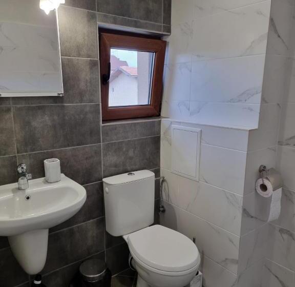 بنسيون Vila Mihnevi