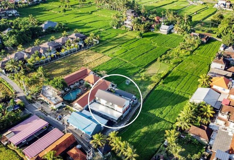 פנסיון White Blue House 3   Pvt Room, Shared Pool&kitchen