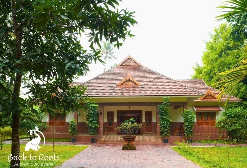 Курорт Backtorootsayurveda