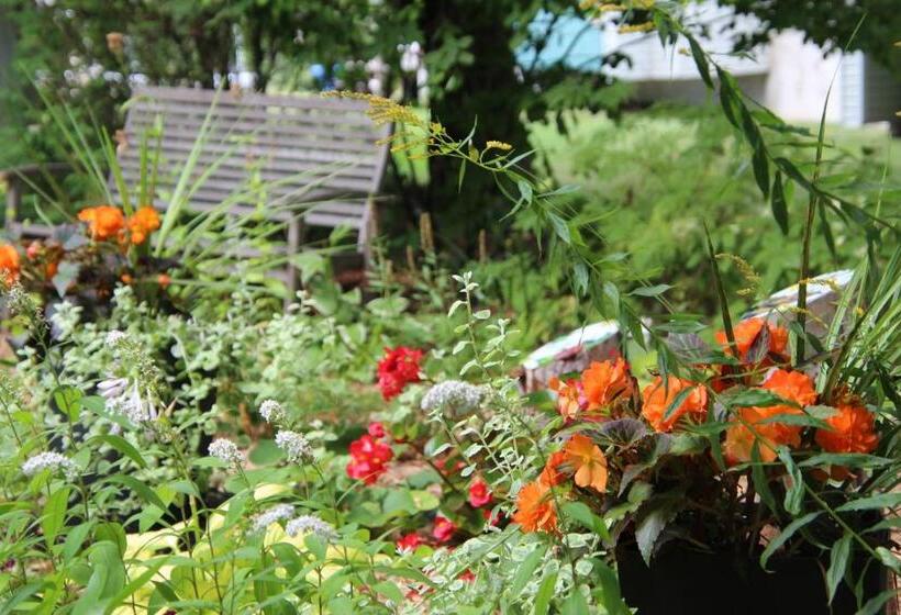 旅馆 Auberge Comme Au Premier Jour