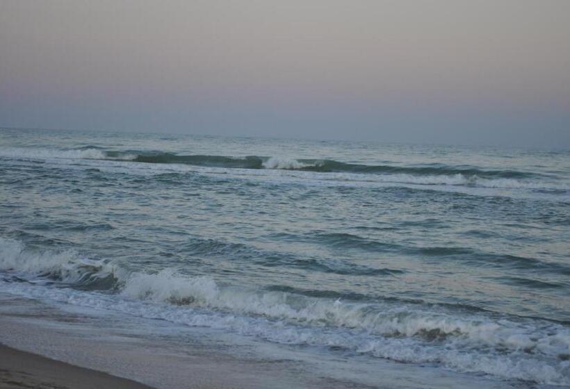 هاستل Inn Estio