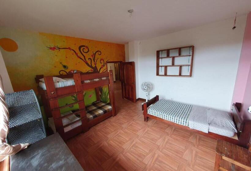 旅馆 La Villa Del Colibri   Misahualli