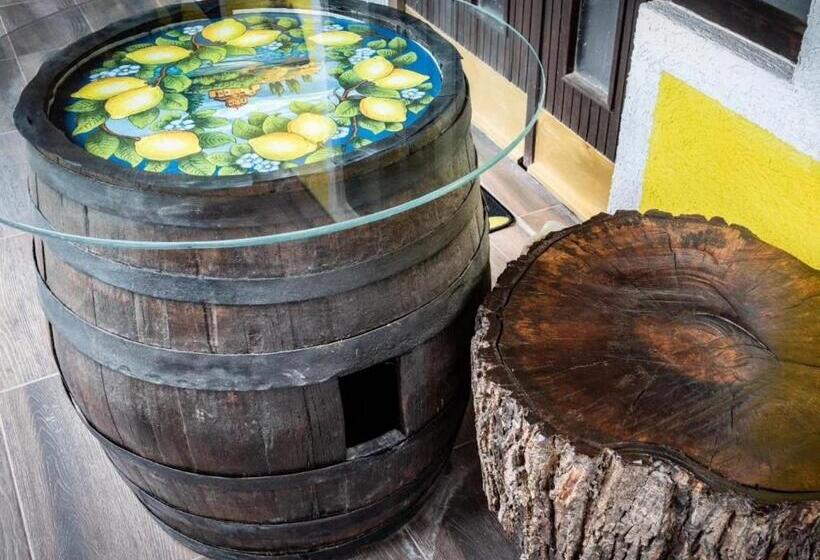 هاستل Lemon Garden