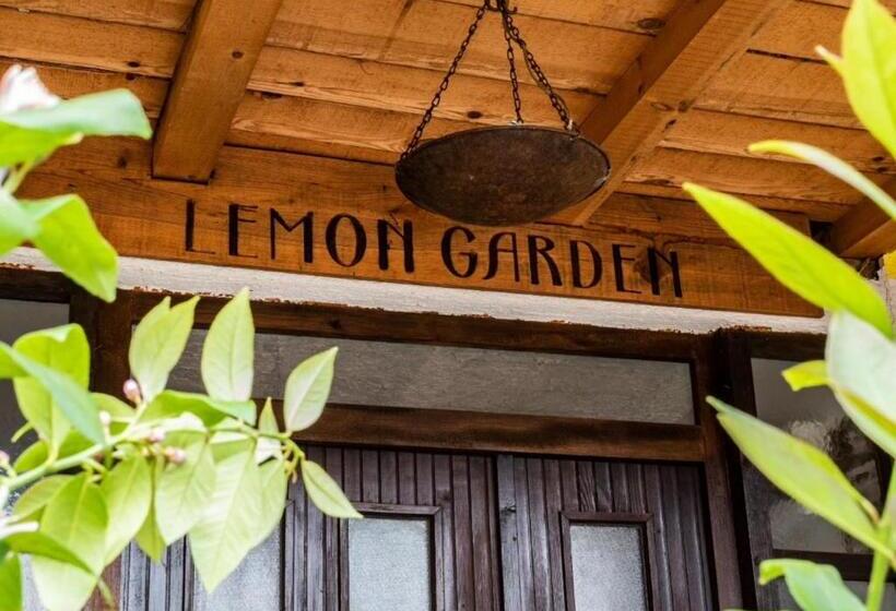 هاستل Lemon Garden
