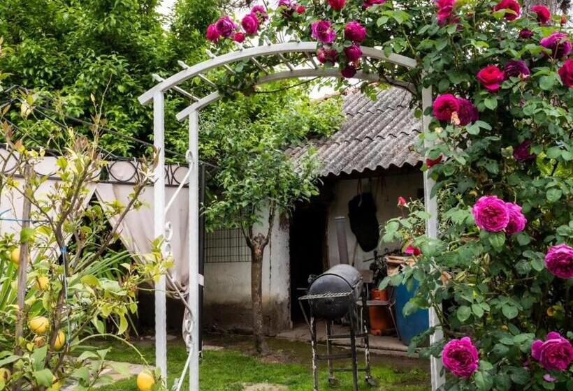 هاستل Lemon Garden