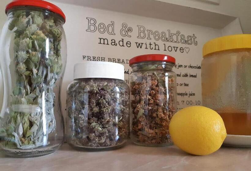 هاستل Lemon Garden