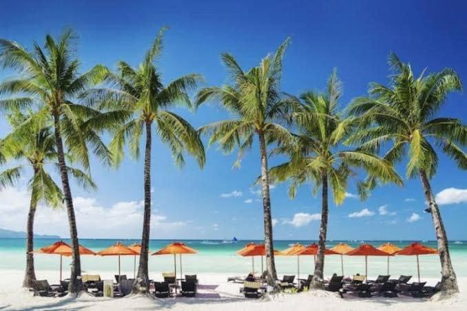 ユースホステル Studio Apartment With Kitchen