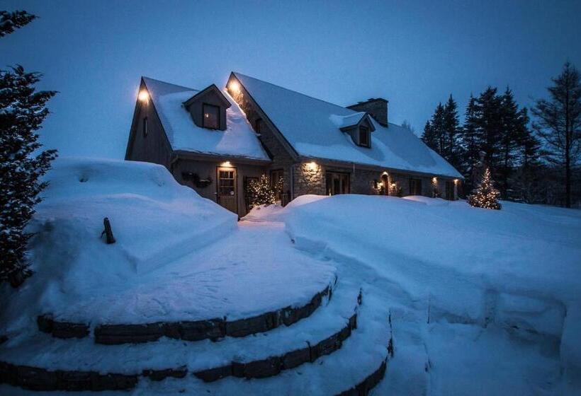 Auberge Dans Les Bras De Morphée B&b