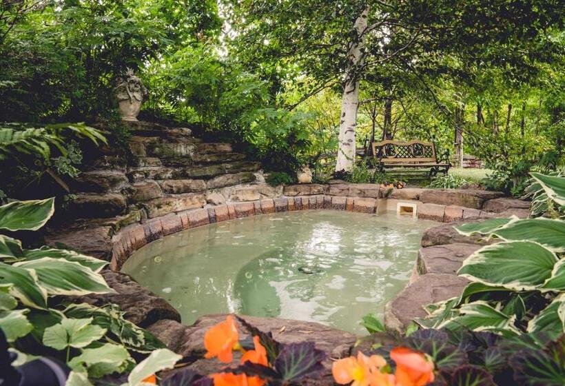 Auberge Dans Les Bras De Morphée B&b