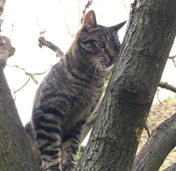 B&b Chambre De Julie Le Jardin