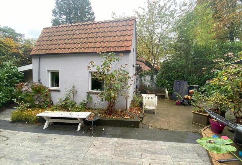 B&b In De Aap Gelogeerd