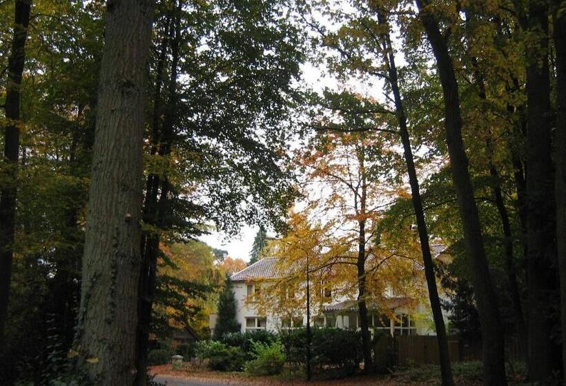 B&b In De Aap Gelogeerd