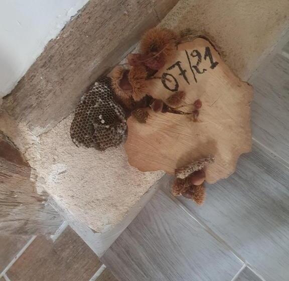 مبيت وإفطار Au Grain De Folie