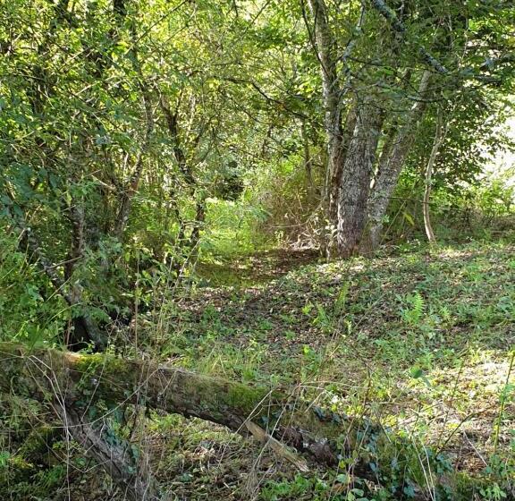 مبيت وإفطار Au Grain De Folie