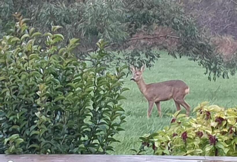 مبيت وإفطار Au Grain De Folie
