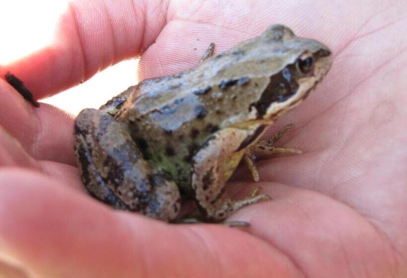 ベッドアンドブレックファースト Domaine Du Mas Du Taillet