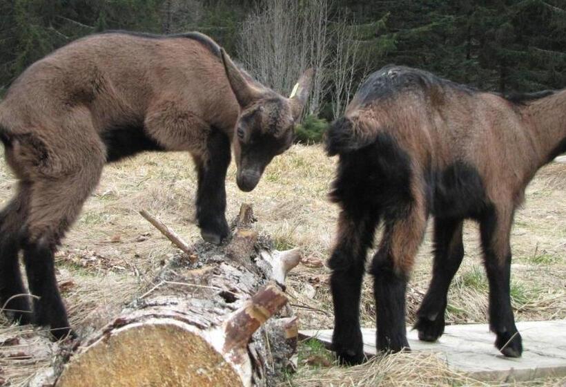 ベッドアンドブレックファースト Domaine Du Mas Du Taillet