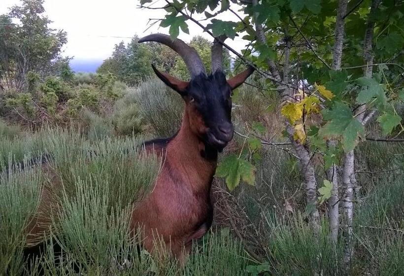 ベッドアンドブレックファースト Domaine Du Mas Du Taillet