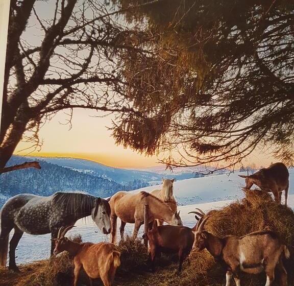 ベッドアンドブレックファースト Domaine Du Mas Du Taillet