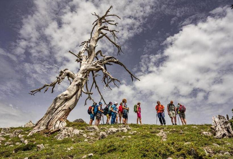 민박 Il Pettirosso Rotonda Pollino