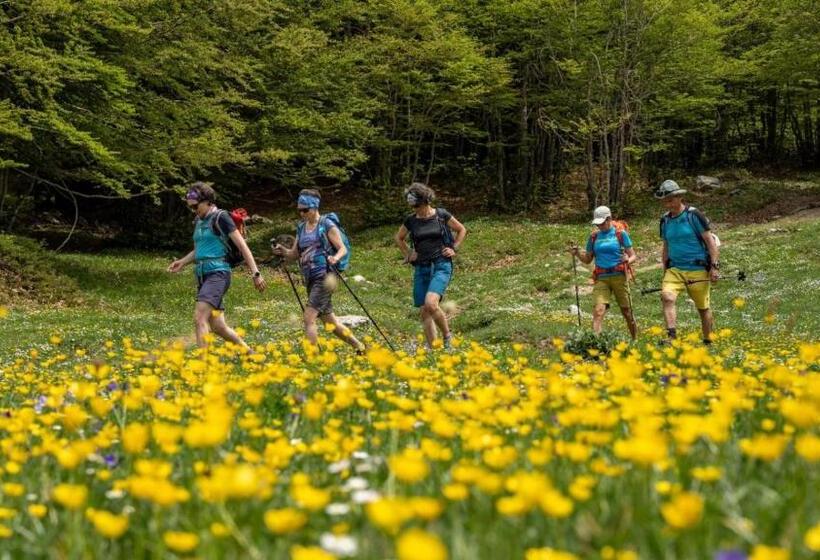 민박 Il Pettirosso Rotonda Pollino