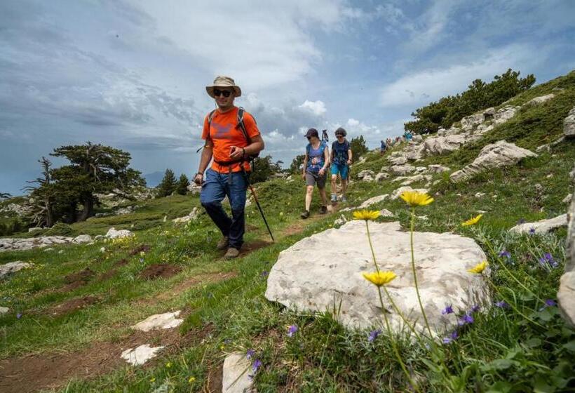 민박 Il Pettirosso Rotonda Pollino