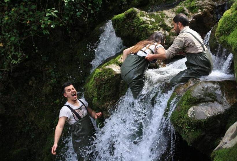 민박 Il Pettirosso Rotonda Pollino