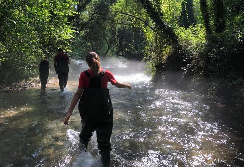 민박 Il Pettirosso Rotonda Pollino