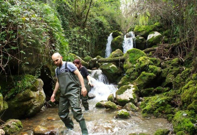 민박 Il Pettirosso Rotonda Pollino
