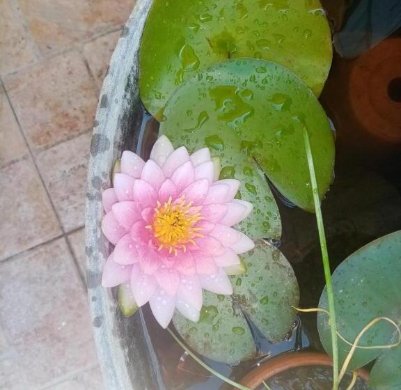 مبيت وإفطار La Casa