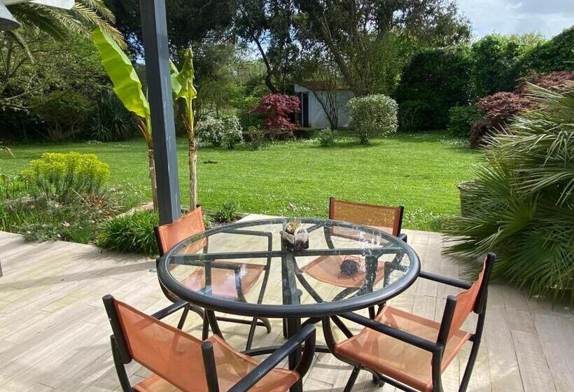 住宿加早餐  La Maison De Lison