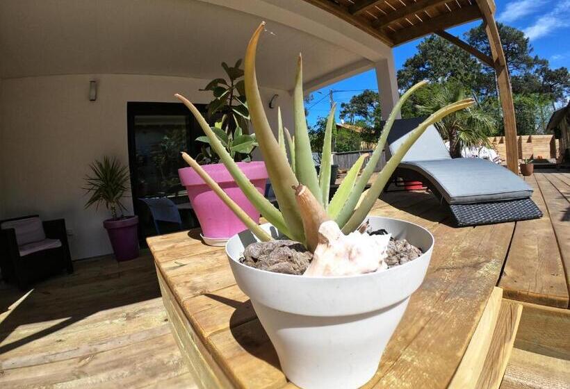 Bed and Breakfast Laniakea