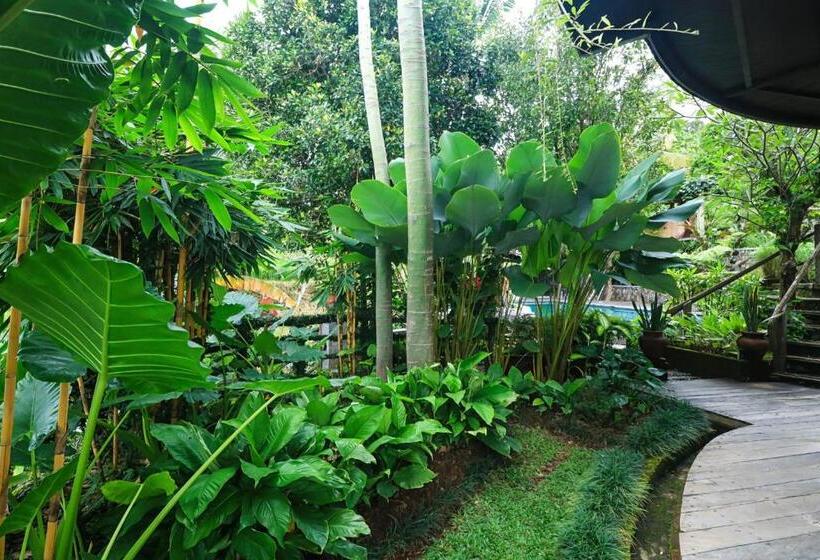 צימר Omantra Home Bali