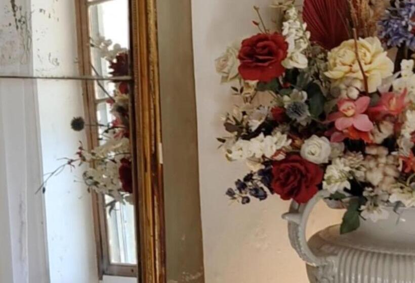 Bed and Breakfast Rue Du Château à Cabrières D Avignon