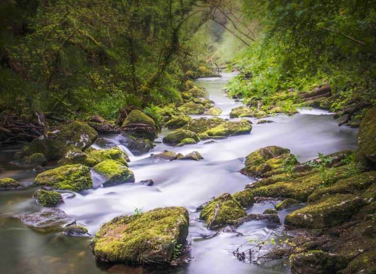 צימר Smallholding Retreat