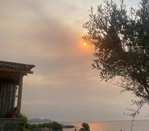 مبيت وإفطار Yakamoz Motel & Restaurant