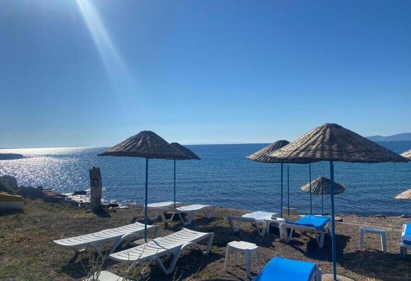 مبيت وإفطار Yakamoz Motel & Restaurant